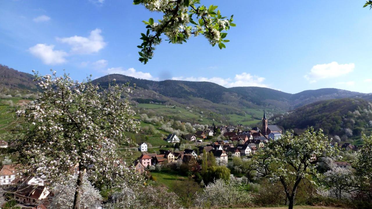 Les Gites La Cerisaie Breitenbach 외부 사진
