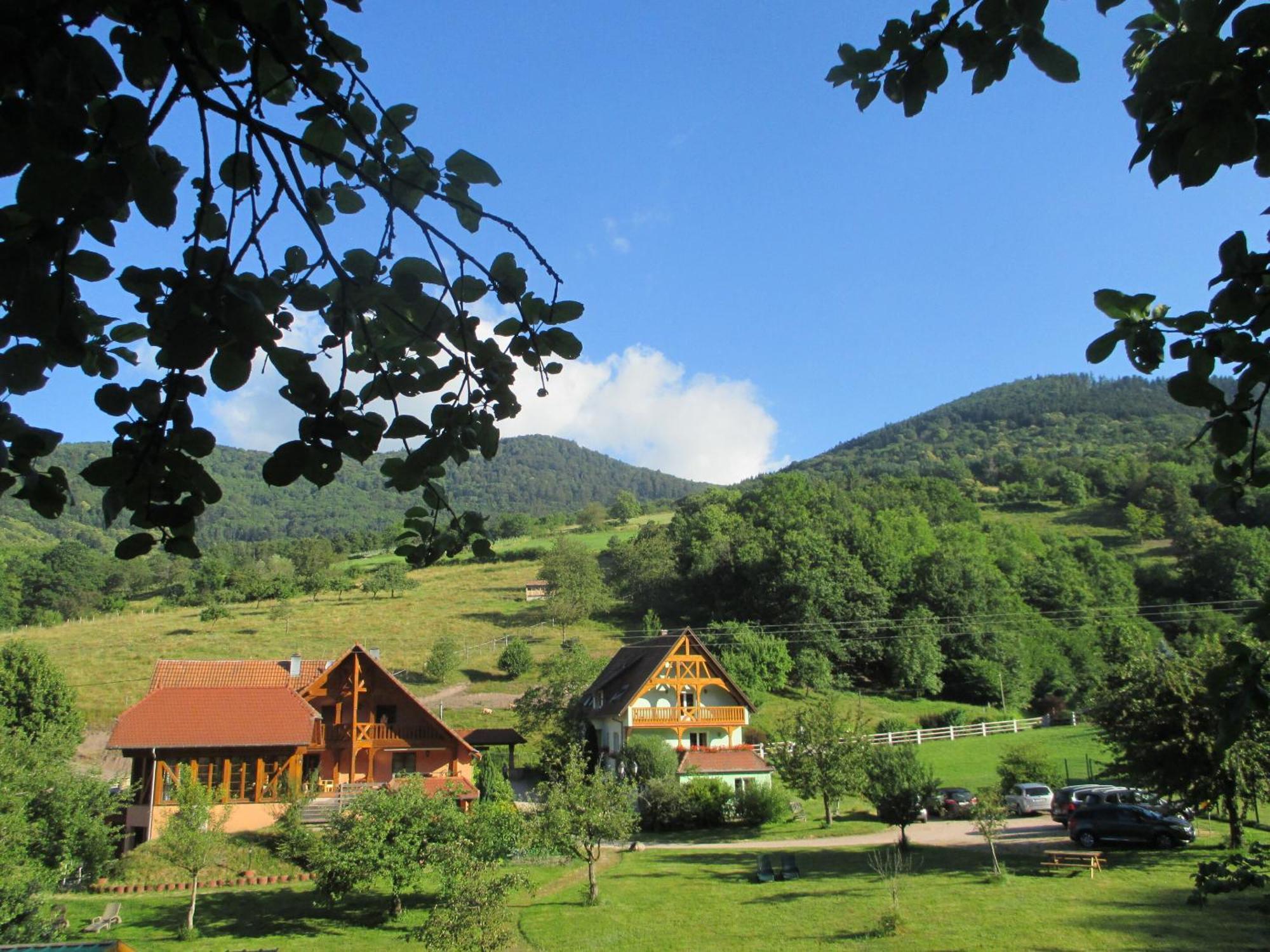 Les Gites La Cerisaie Breitenbach 객실 사진